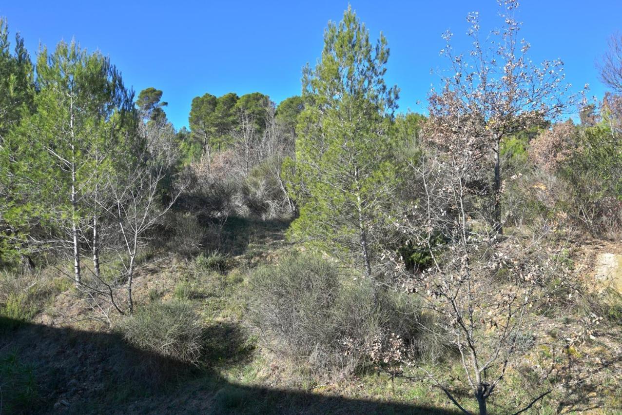L'Oustaou Du Luberon Et Spa Villelaure Exterior foto