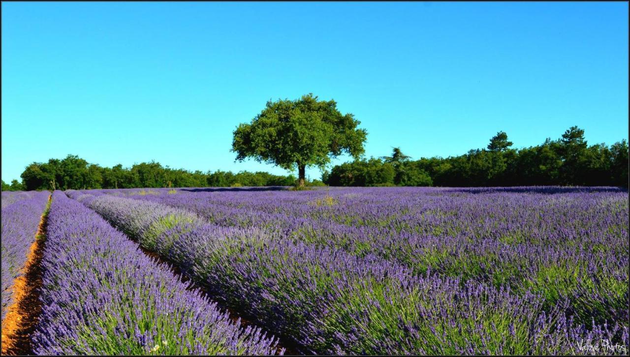 L'Oustaou Du Luberon Et Spa Villelaure Exterior foto